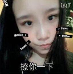 王老大女友爆料视频网红  第1张